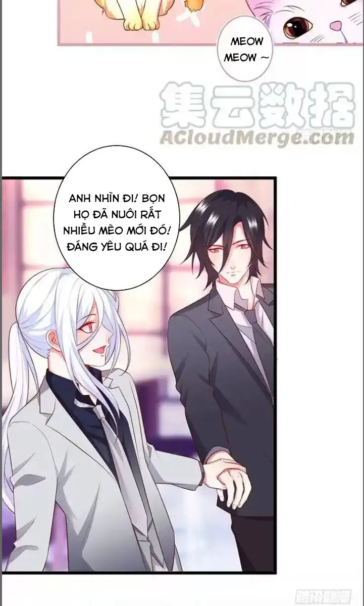 Hắc Đạo Này Có Chút Manh Chapter  176 - 11