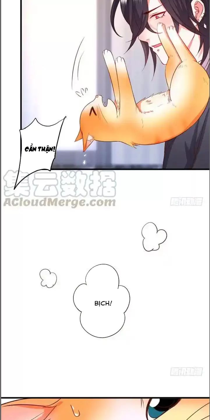 Hắc Đạo Này Có Chút Manh Chapter  176 - 19