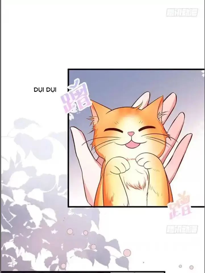 Hắc Đạo Này Có Chút Manh Chapter  176 - 21