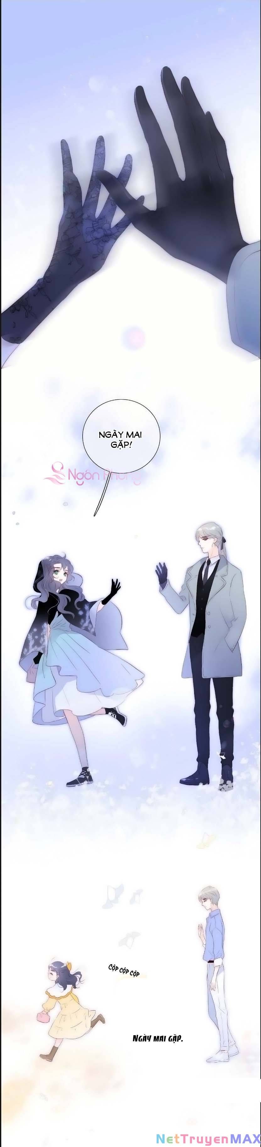 Hoa Bỏ Chạy Với Nhím Rồi Chapter 102 - 19