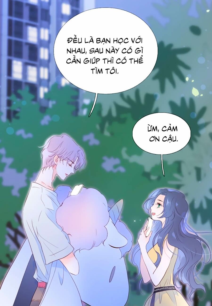 Hoa Bỏ Chạy Với Nhím Rồi Chapter 4.1 - 19