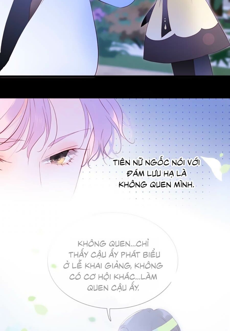 Hoa Bỏ Chạy Với Nhím Rồi Chapter 4.1 - 20