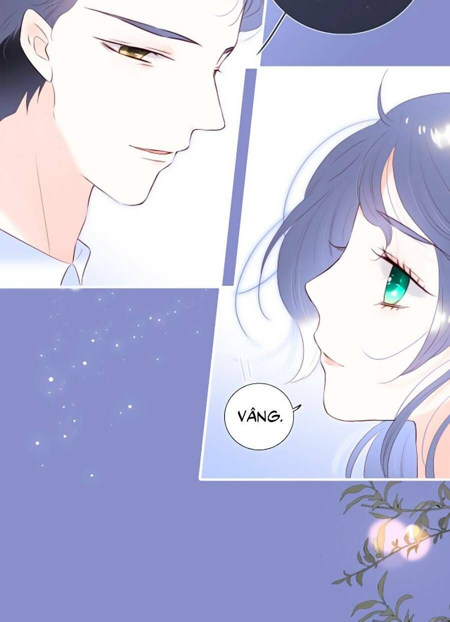 Hoa Bỏ Chạy Với Nhím Rồi Chapter 84 - 16