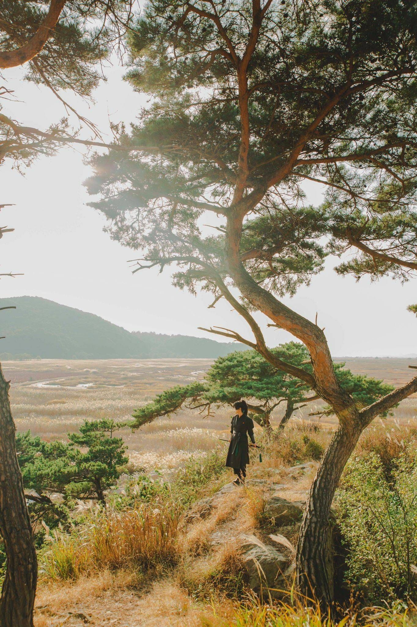 Hoa Sơn Tái Khởi Chapter 51.5 - 9