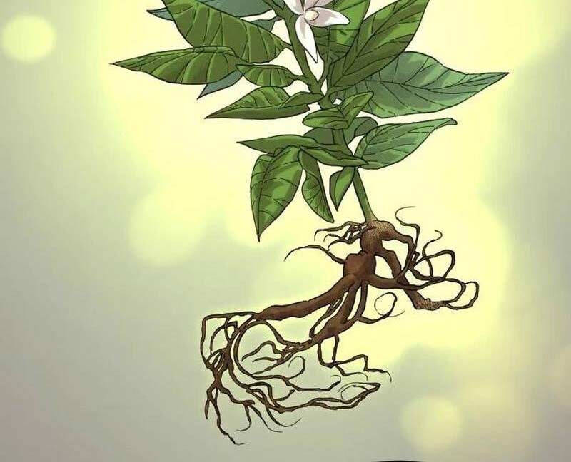 Hoa Sơn Tái Khởi Chapter 115 - 16