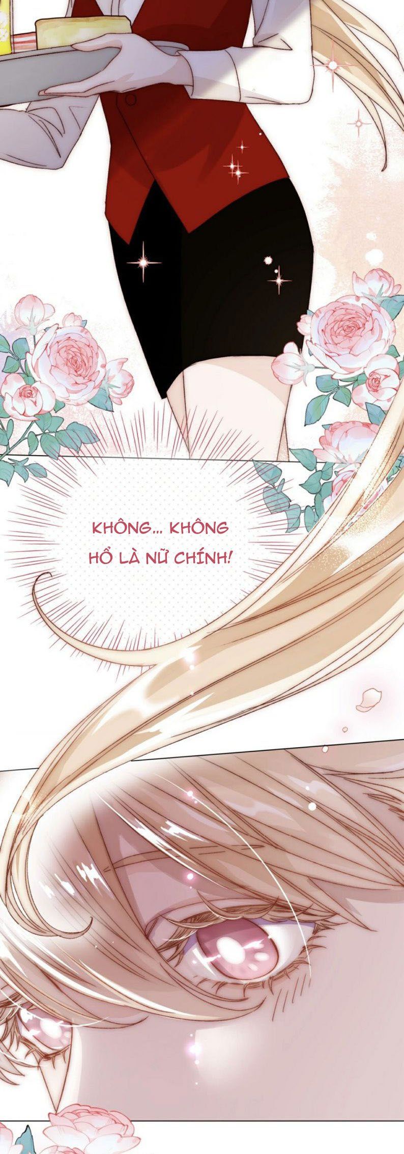 Tôi Phải Làm Một Kẻ Đại Xấu Xa Chapter 25.5 - 4