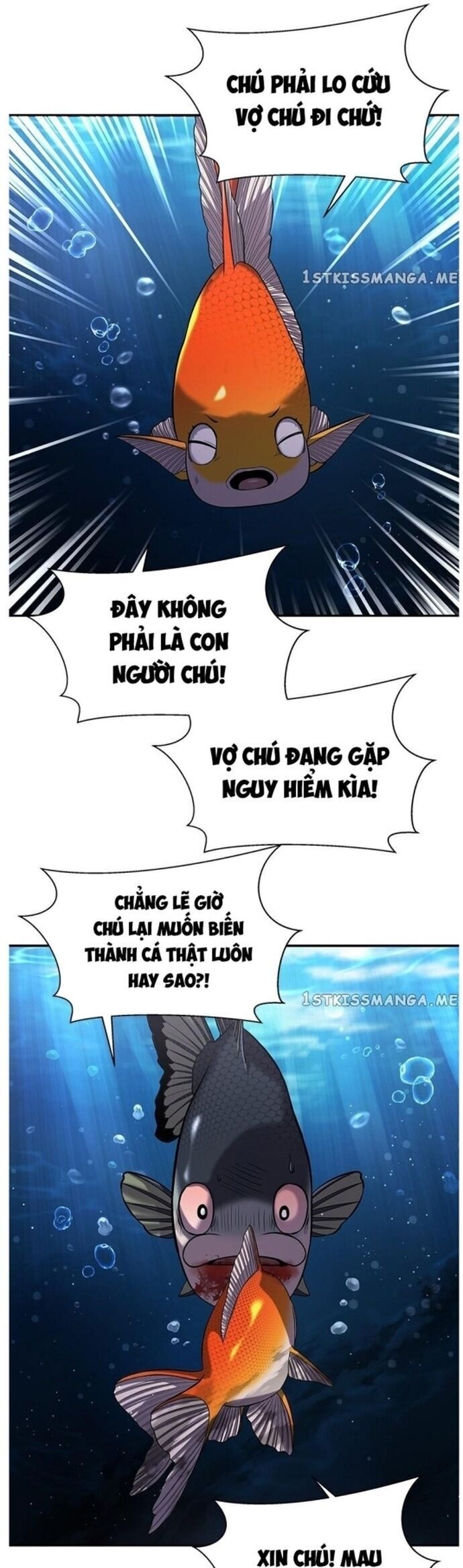 Hoá Thân Thành Cá Chapter 37 - 31