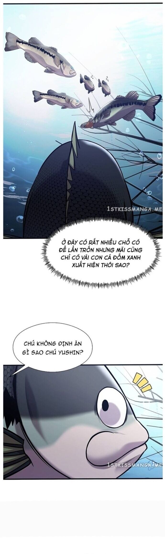 Hoá Thân Thành Cá Chapter 40 - 23
