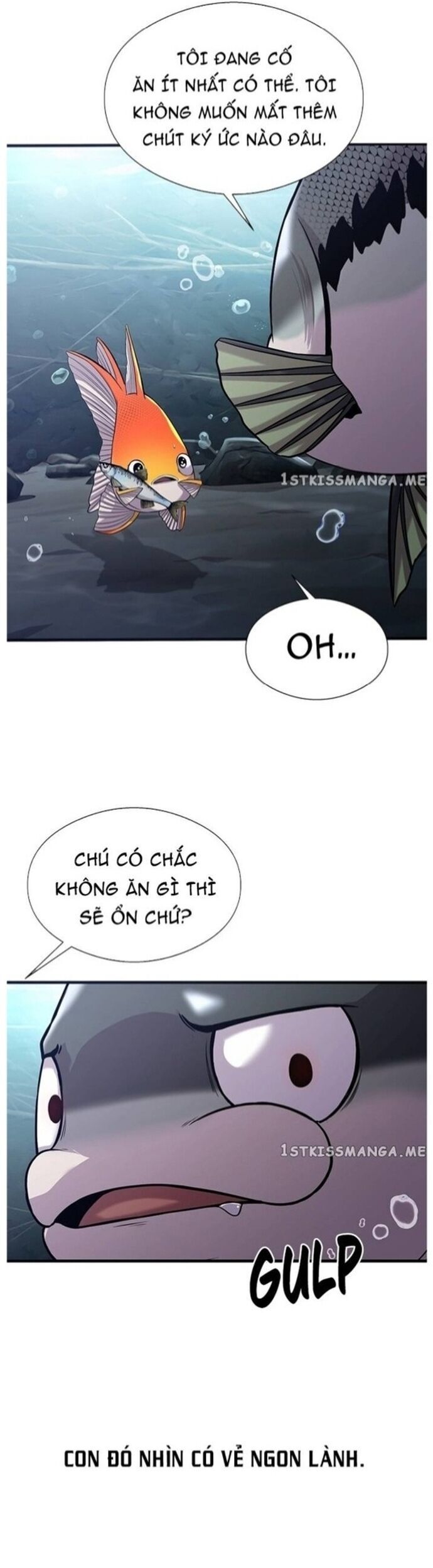 Hoá Thân Thành Cá Chapter 40 - 24