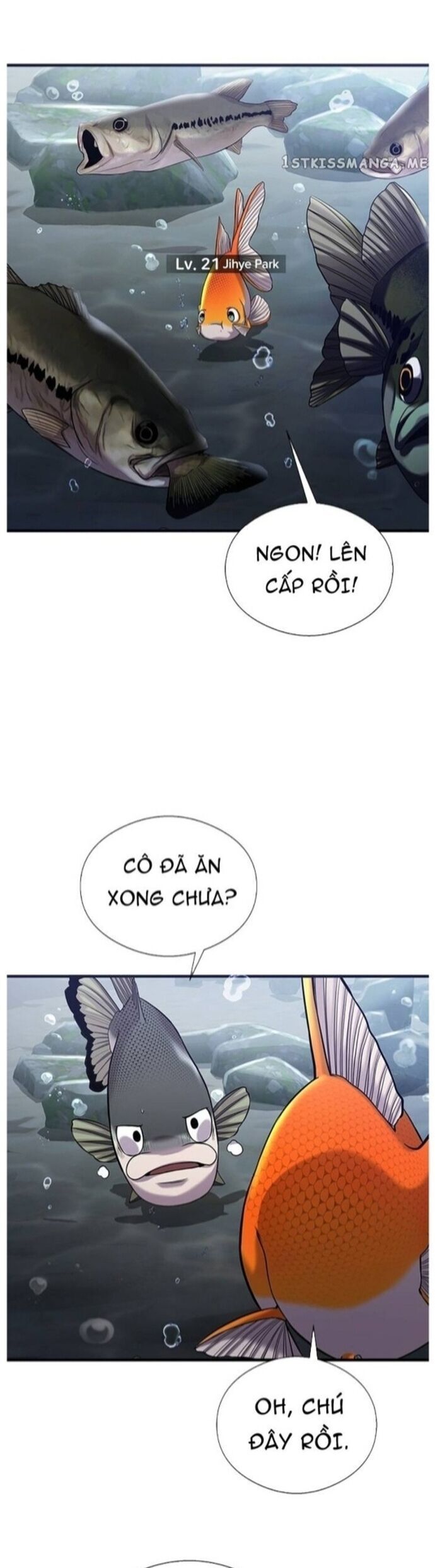 Hoá Thân Thành Cá Chapter 40 - 32