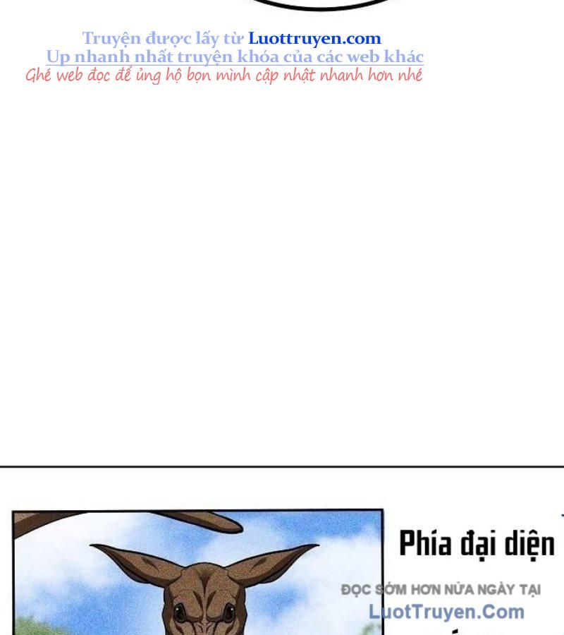 Vua Võ Đài Chapter 150 - 19