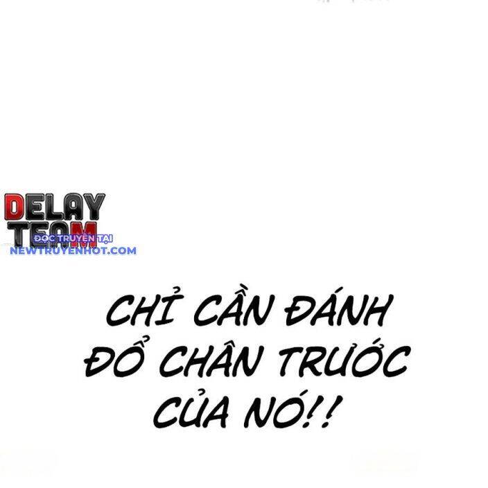 Loser Giỏi Võ Chapter 94 - 282