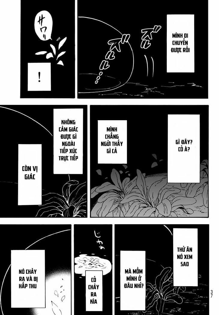 Lúc Đó, Tôi Đã Chuyển Sinh Thành Slime Chapter 1 - 17