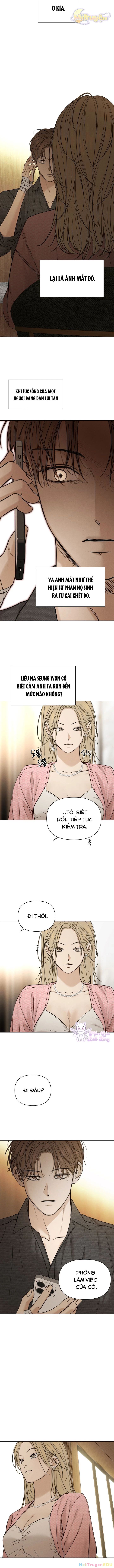 Chỉ Là Ánh Bình Minh Chapter 59 - 11