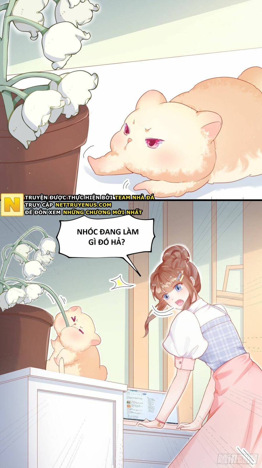 Bảo Điển Tình Yêu Của Hamster Chapter 1 - 19