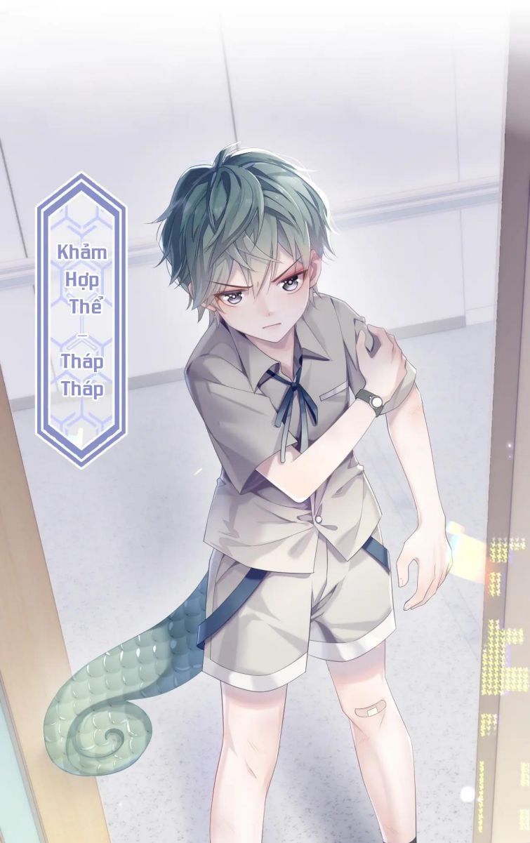 Cả Thế Giới Đều Muốn Ghép Chúng Tôi Làm Cp Mặc Dù Chúng Tôi Muốn Ly Hôn Chapter 33 - 13