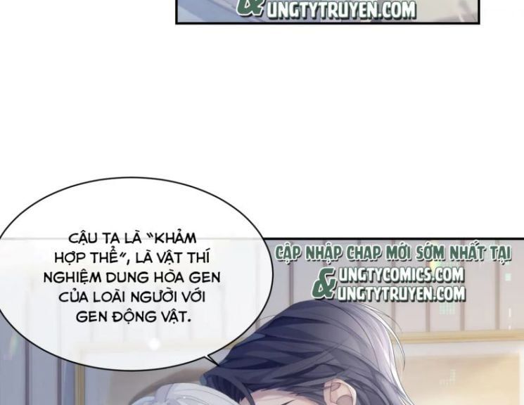 Cả Thế Giới Đều Muốn Ghép Chúng Tôi Làm Cp Mặc Dù Chúng Tôi Muốn Ly Hôn Chapter 36 - 5