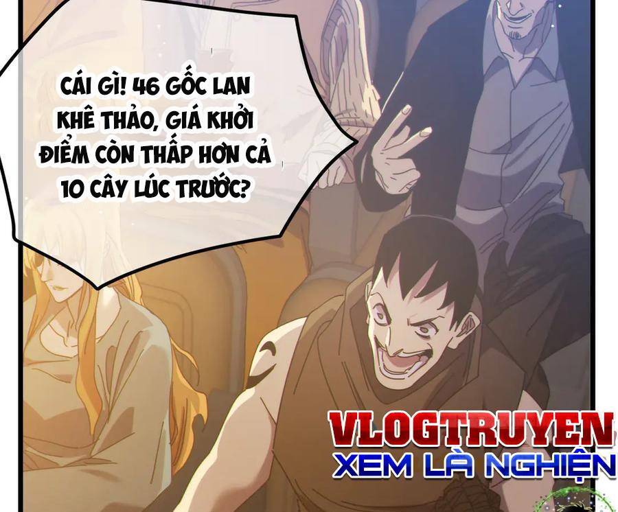 Vô Địch Bị Động Tạo Ra Tấn Sát Thương Chapter  31 - 76