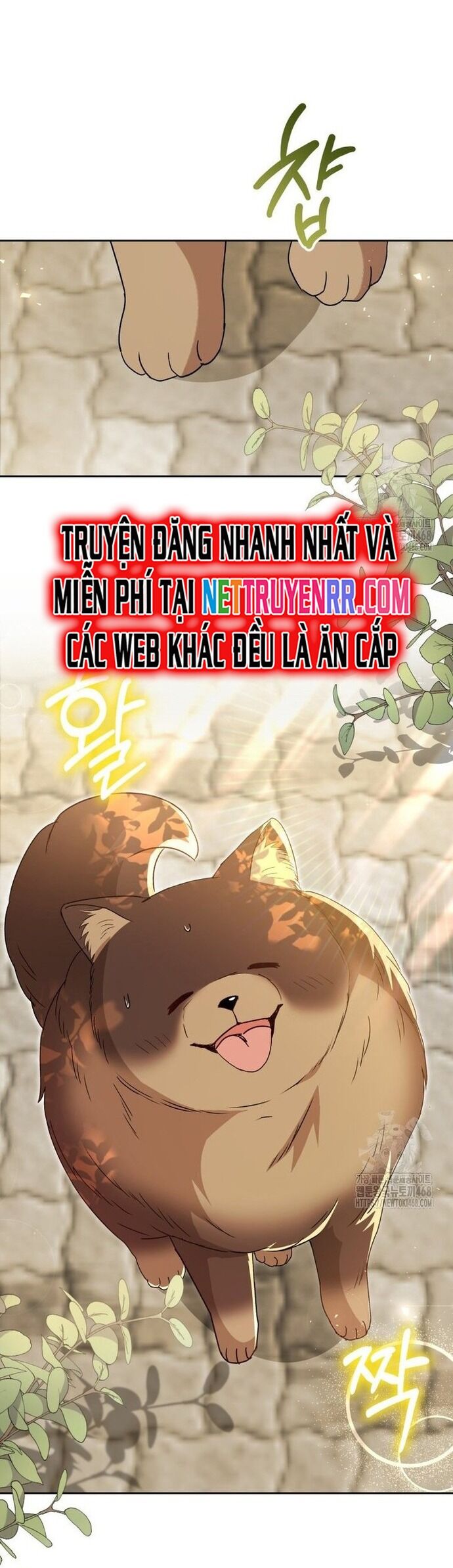 Xin Chào! Bác Sĩ Thú Y Chapter 91 - 29