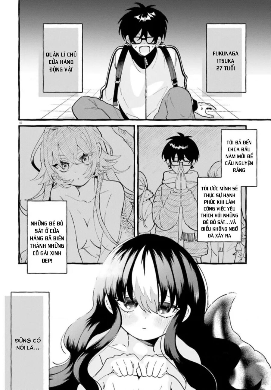 Những Cô Gái Thuộc Loại Bò Sát Chapter 2 - 2