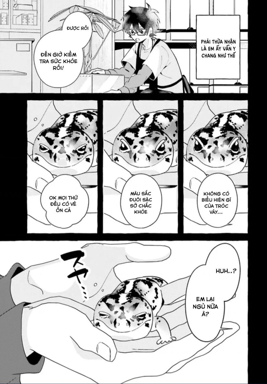 Những Cô Gái Thuộc Loại Bò Sát Chapter 2 - 5