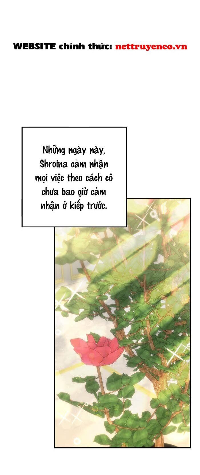 Phải Lòng Kẻ Thù Chapter  17 - 21