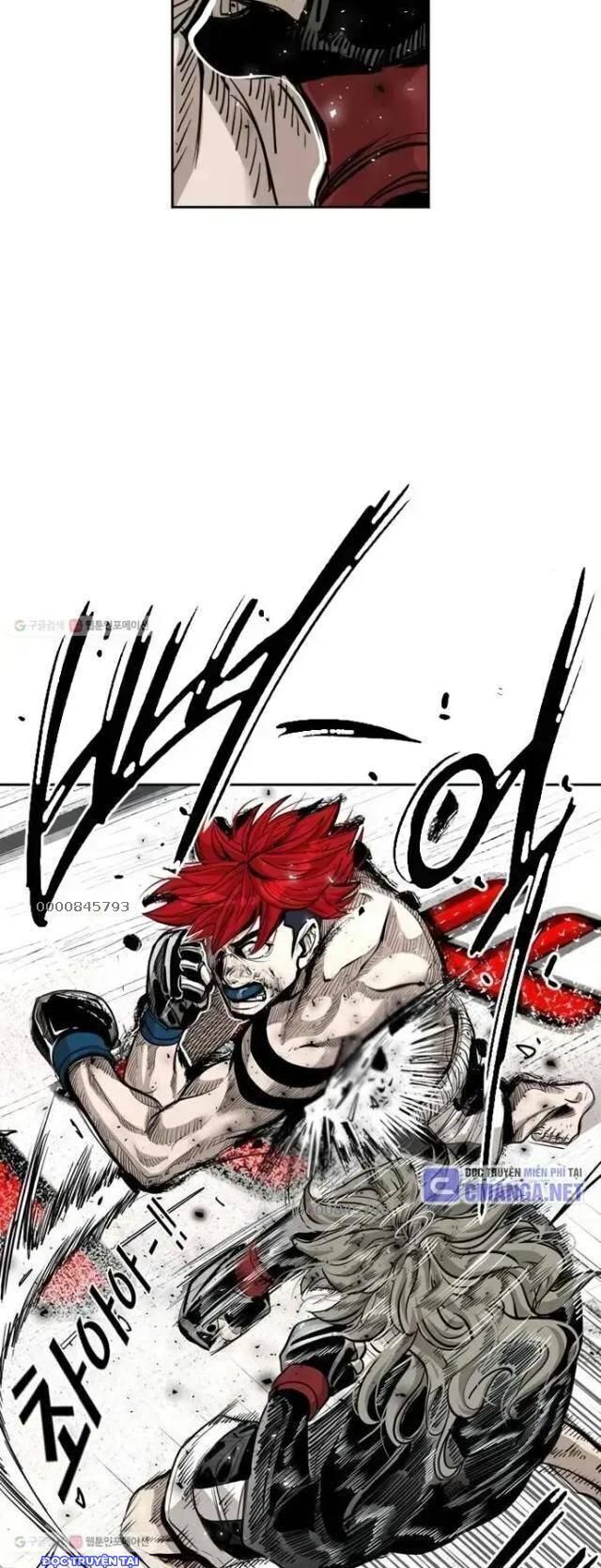 Shark - Cá Mập Chapter 206 - 13
