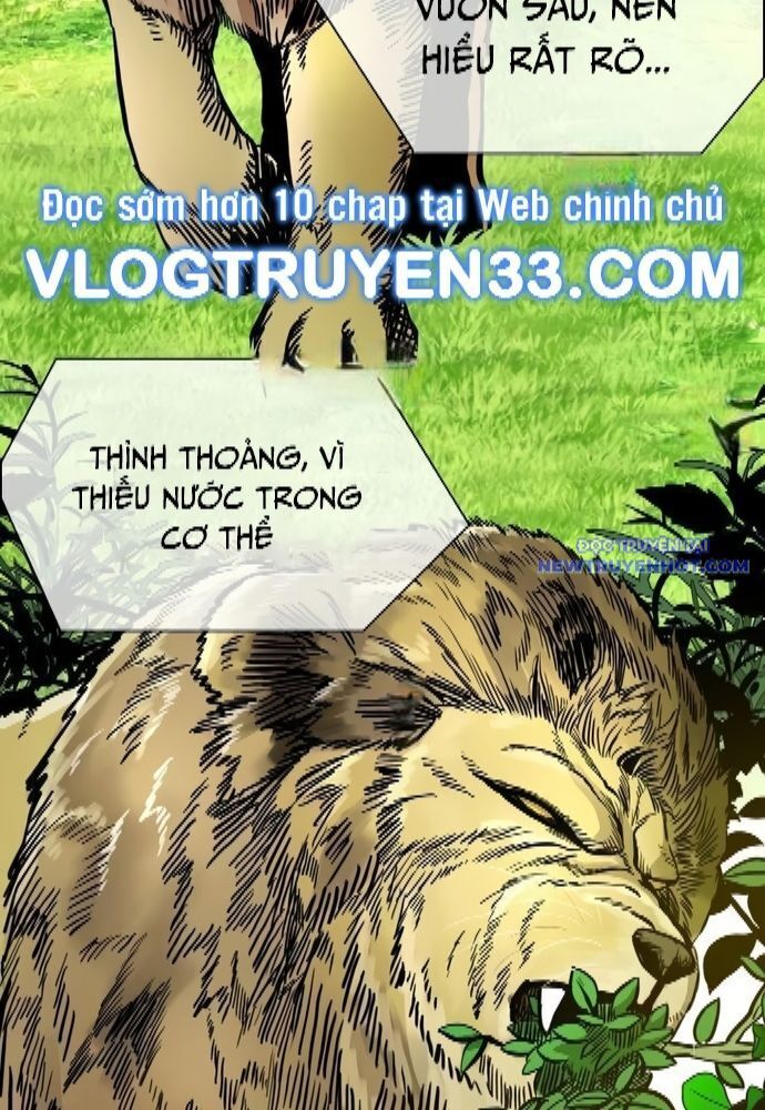 Shark - Cá Mập Chapter 325 - 41