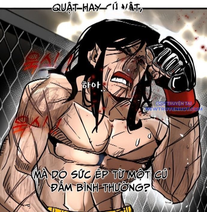 Shark - Cá Mập Chapter 338 - 37