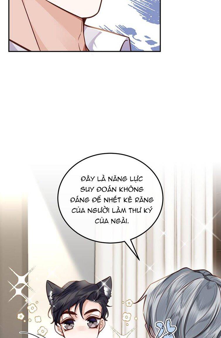 Tổng Tài Định Chế Tư Nhân Chapter  19 - 42