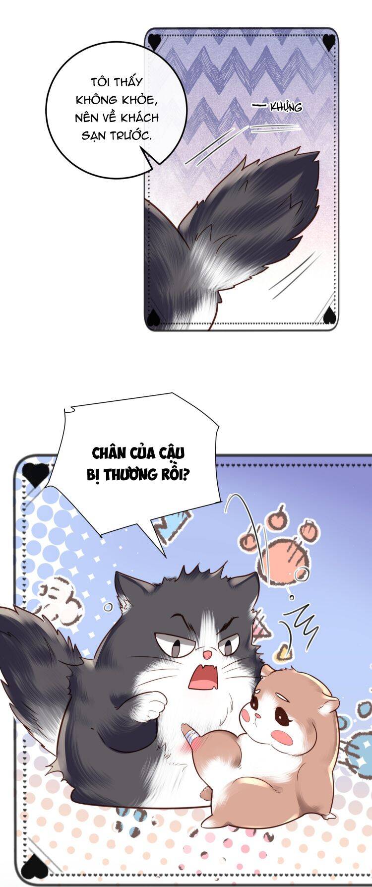 Tổng Tài Định Chế Tư Nhân Chapter  23 - 7