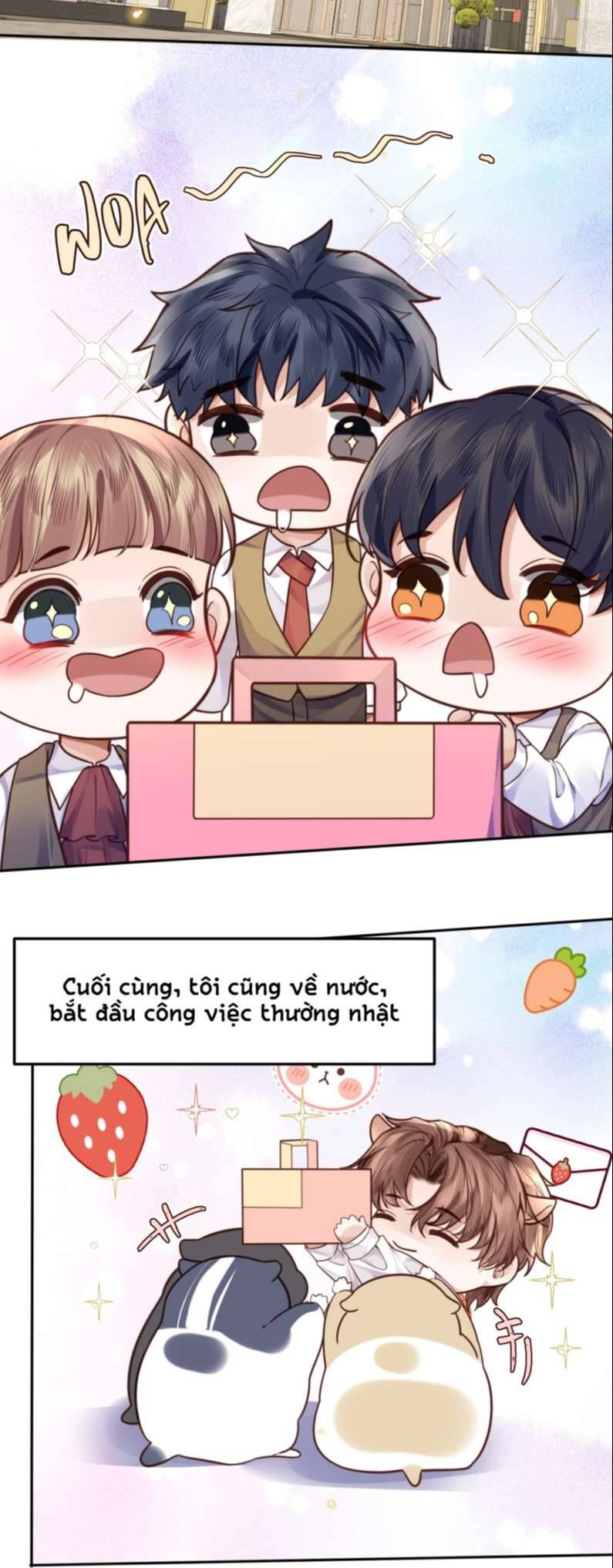Tổng Tài Định Chế Tư Nhân Chapter  30 - 13
