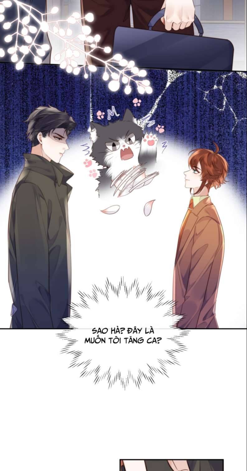 Tổng Tài Định Chế Tư Nhân Chapter  51 - 5