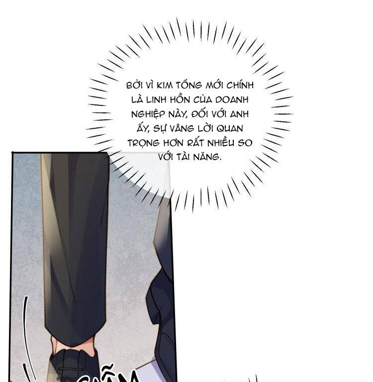 Tổng Tài Định Chế Tư Nhân Chapter  8 - 48