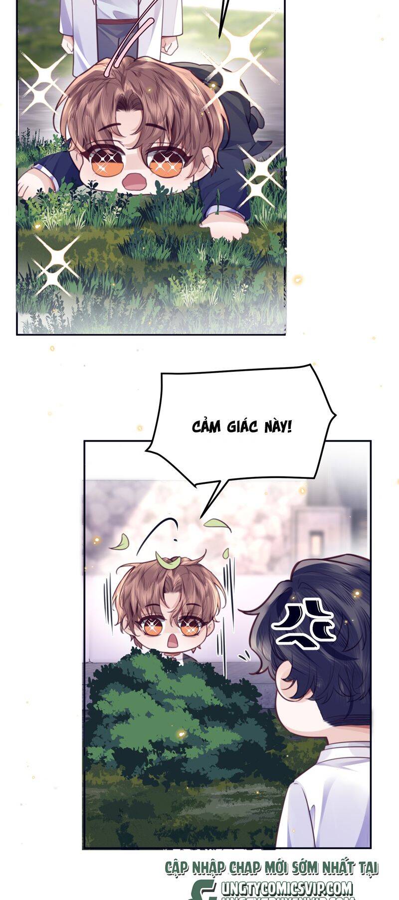 Tổng Tài Định Chế Tư Nhân Chapter  84 - 13
