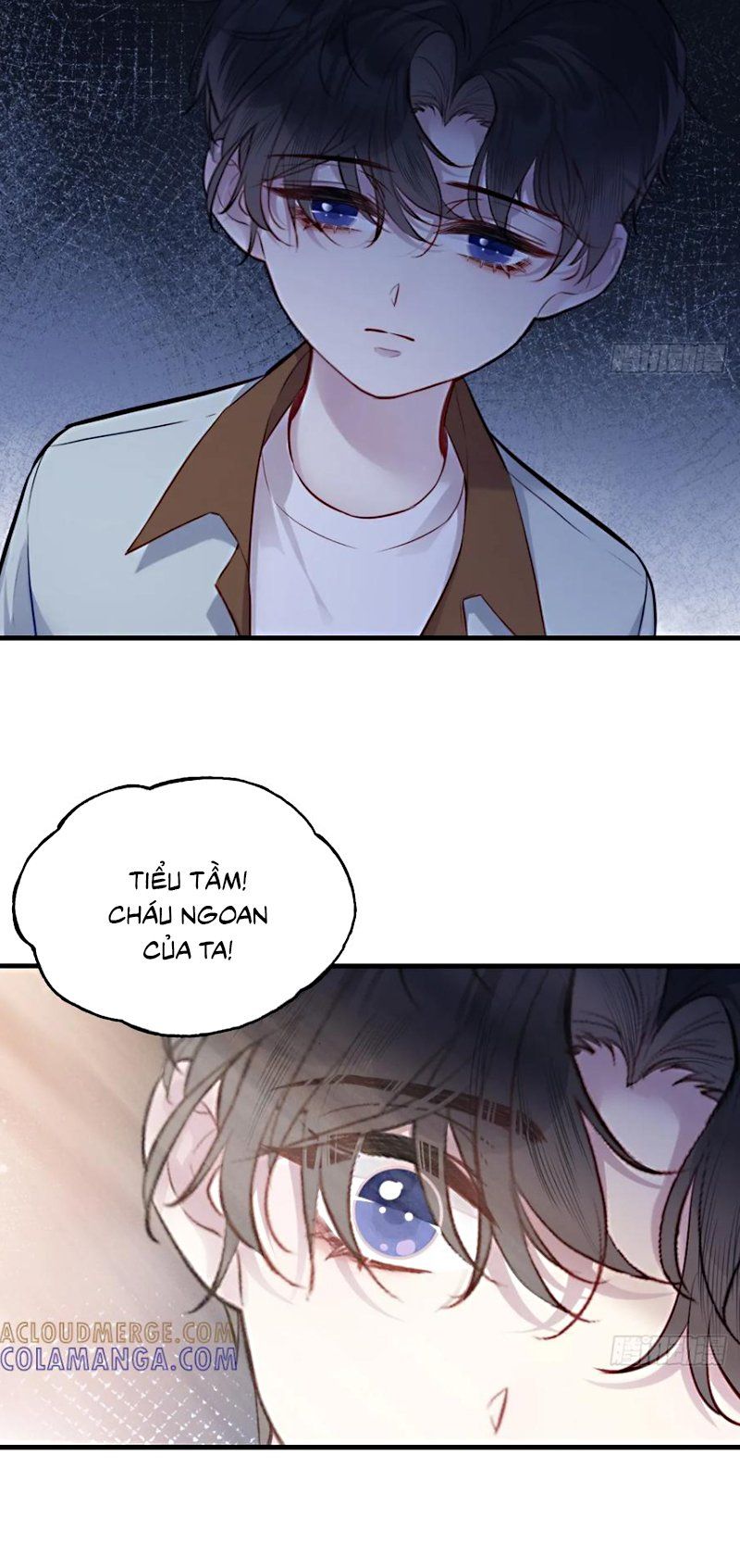 Anh Ấy Chưa Từng Rơi Xuống Chapter 139 - 30