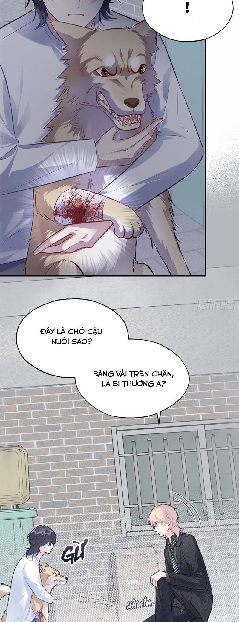 Anh Ấy Chưa Từng Rơi Xuống Chapter  78 - 24