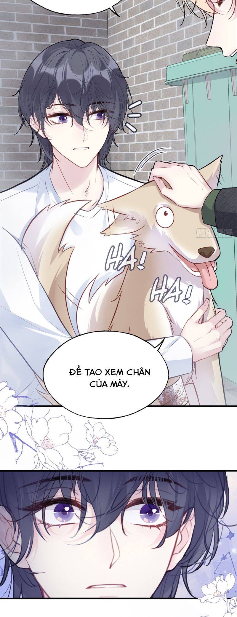 Anh Ấy Chưa Từng Rơi Xuống Chapter  78 - 27
