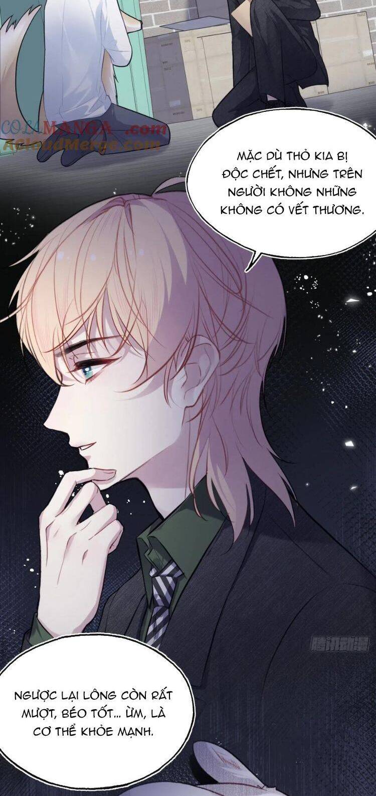 Anh Ấy Chưa Từng Rơi Xuống Chapter  79 - 6