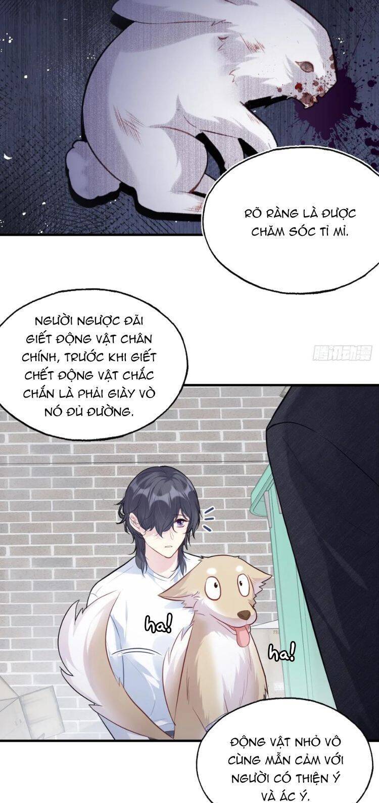 Anh Ấy Chưa Từng Rơi Xuống Chapter  79 - 7