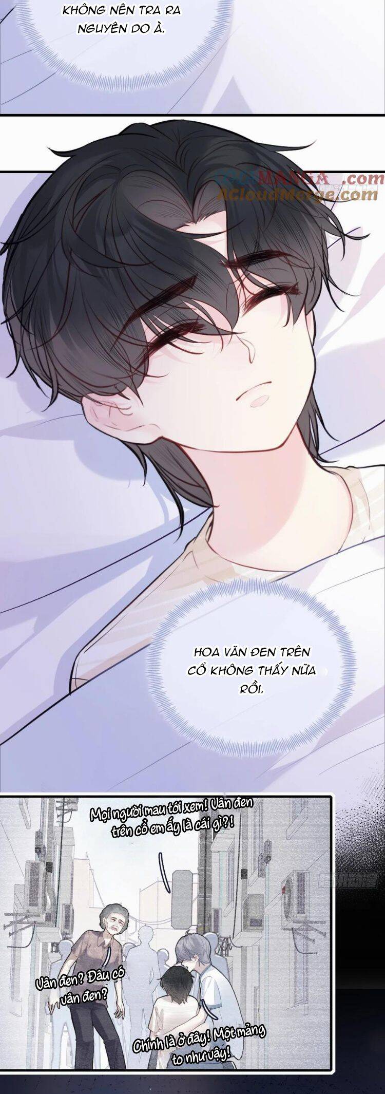 Anh Ấy Chưa Từng Rơi Xuống Chapter  89 - 14