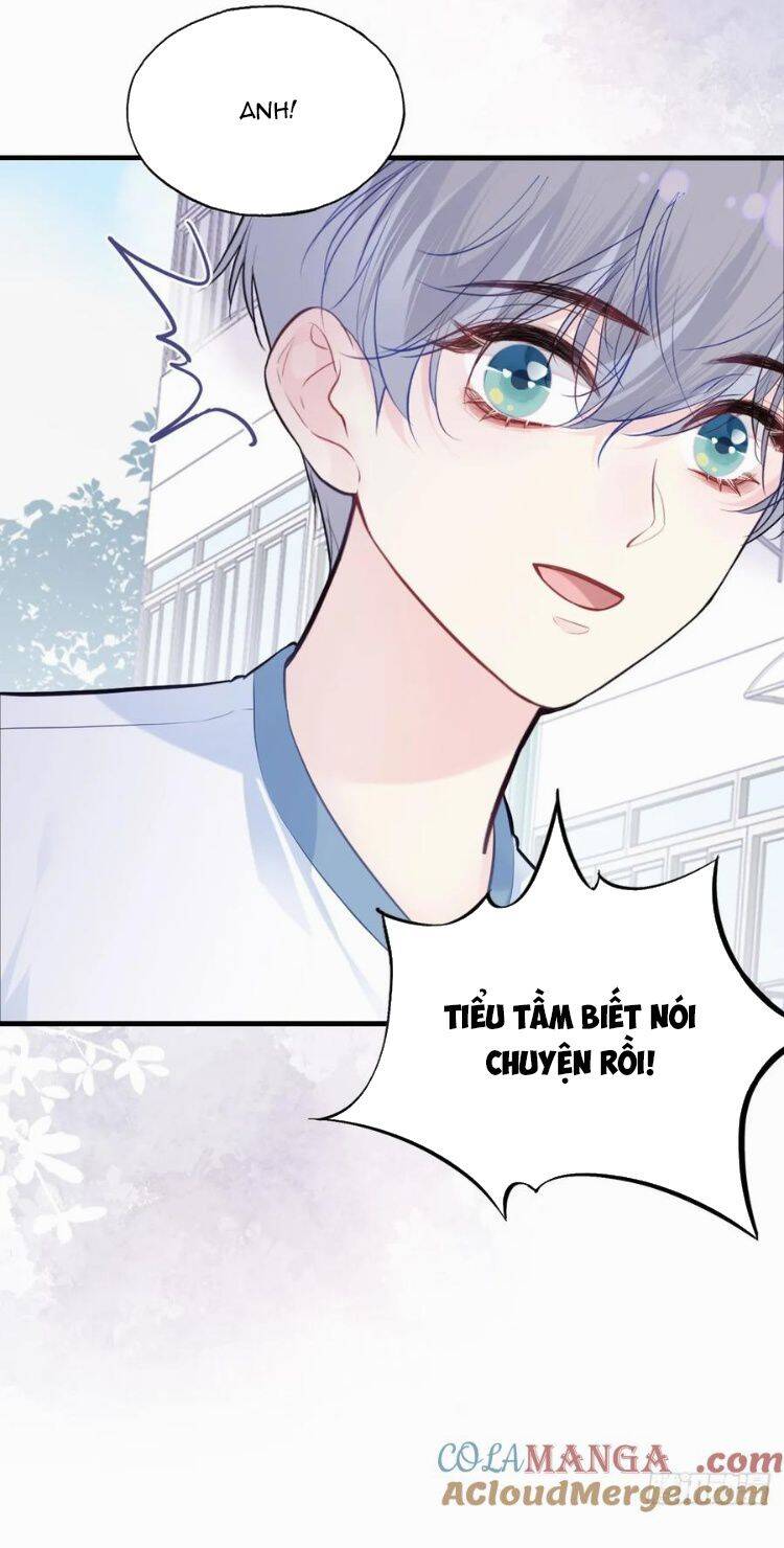 Anh Ấy Chưa Từng Rơi Xuống Chapter  89 - 6