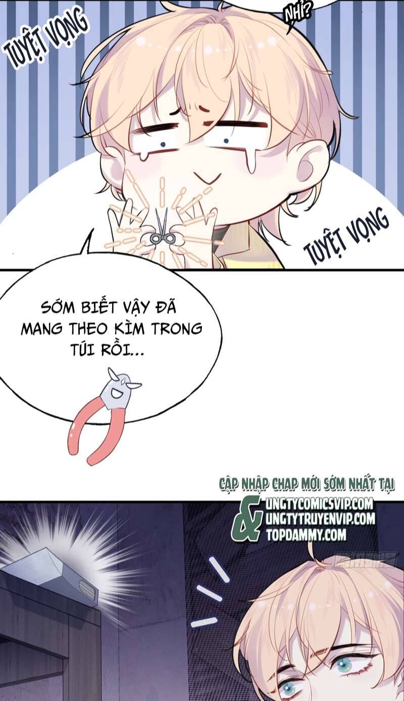 Anh Ấy Chưa Từng Rơi Xuống Chapter  9 - 17