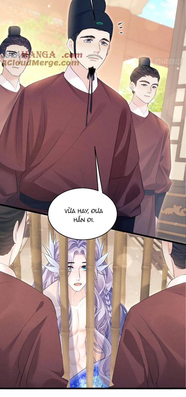 Tôi Hoài Nghi Ảnh Đế Đang Theo Đuổi Tôi Chapter  155 - 24