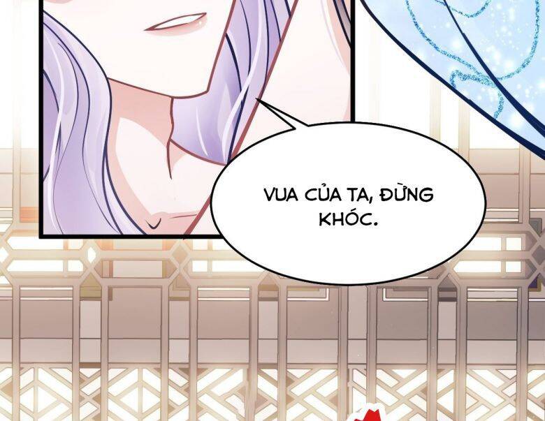 Tôi Hoài Nghi Ảnh Đế Đang Theo Đuổi Tôi Chapter  6 - 47