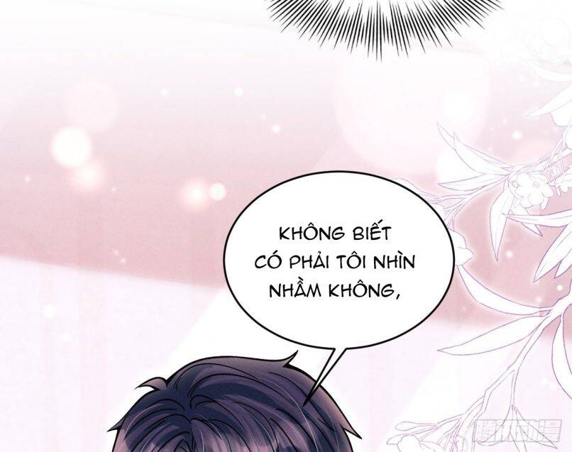 Tôi Hoài Nghi Ảnh Đế Đang Theo Đuổi Tôi Chapter  60 - 66