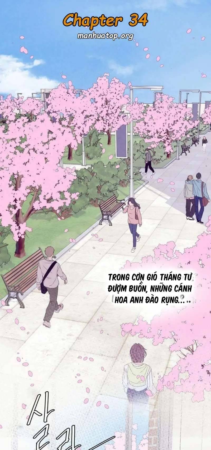 Tôi Muốn Ngừng Việc Giết Chóc Chapter 34 - 2