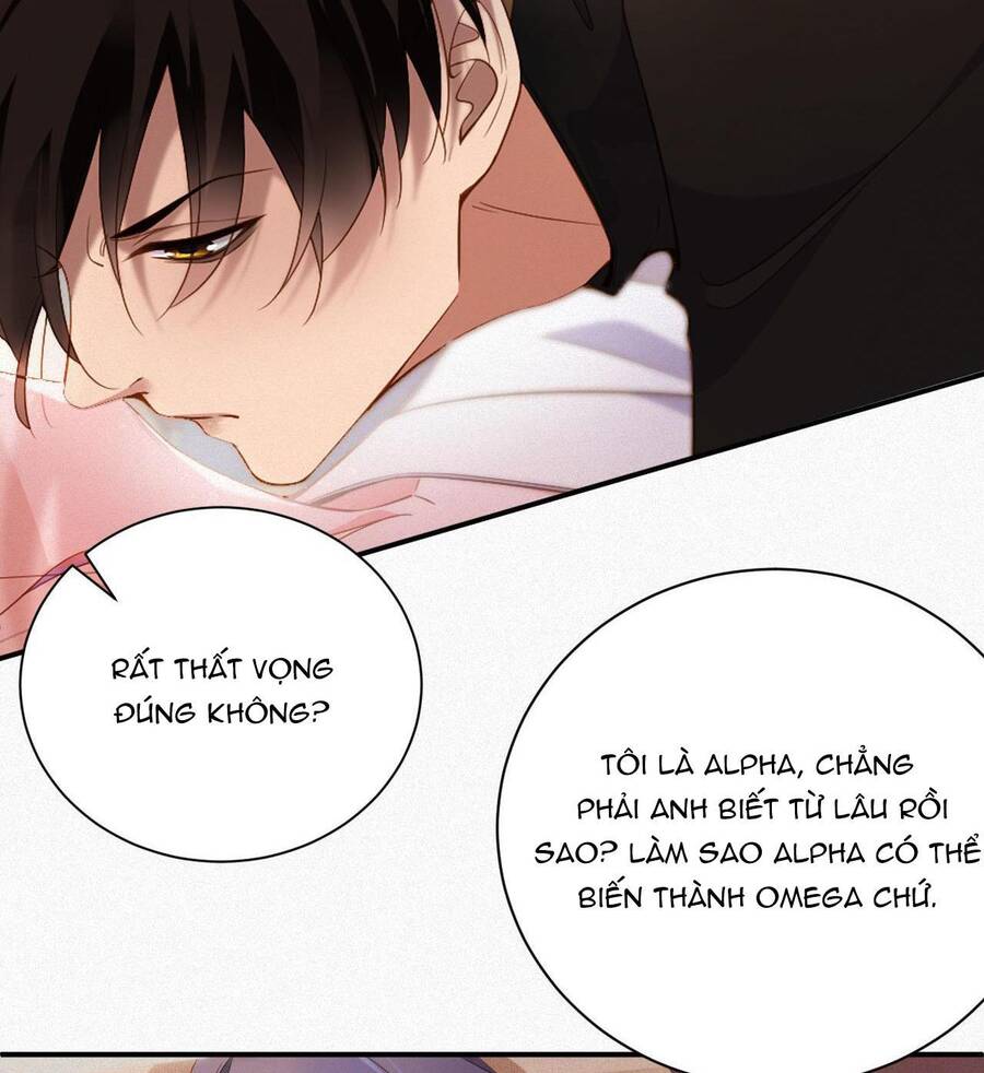 Chồng Cũ Muốn Tái Hôn Lần Nữa Chapter 1 - 53
