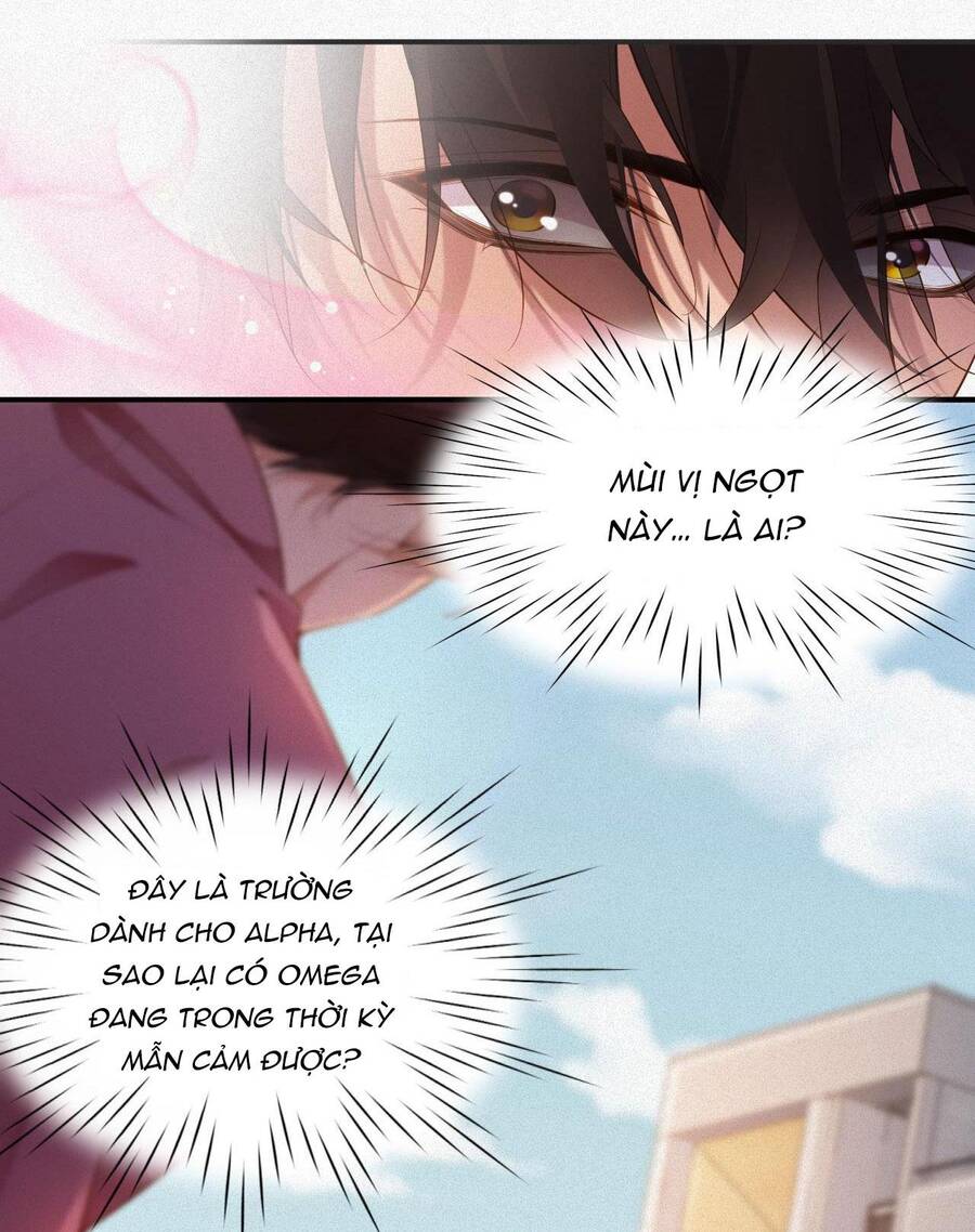 Chồng Cũ Muốn Tái Hôn Lần Nữa Chapter 12 - 14