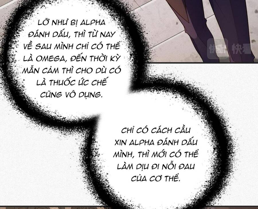 Chồng Cũ Muốn Tái Hôn Lần Nữa Chapter 12 - 23
